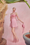 Rouge Lace Dress