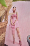 Rouge Lace Dress