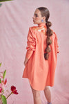 Pumpkin Pvc Shirt